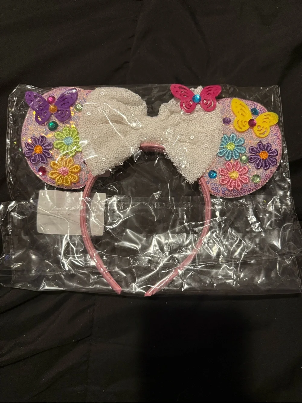 Encanto Mickey Ears